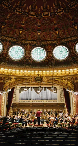 Orquesta